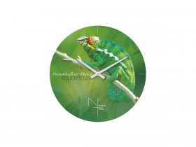 Часы настенные Nicole Time NT503 в Мичуринском - michurinskij.mebel-nsk.ru | фото