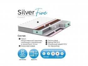 Матрас Silver Five в Мичуринском - michurinskij.mebel-nsk.ru | фото