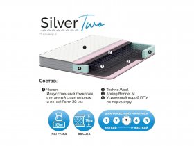 Матрас Silver Two в Мичуринском - michurinskij.mebel-nsk.ru | фото