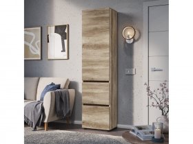 Пенал ПН-03 Энигма (венге/дуб каньон) в Мичуринском - michurinskij.mebel-nsk.ru | фото